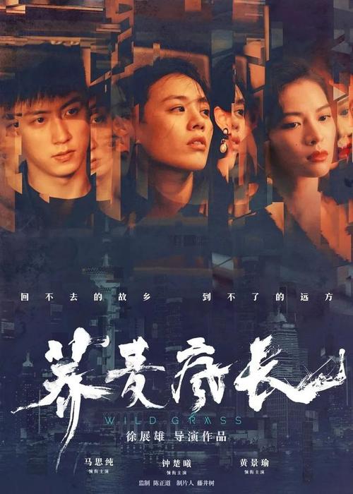 苏丹样本资料