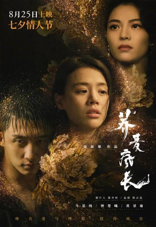 斯托尼布鲁克大学本科毕业证